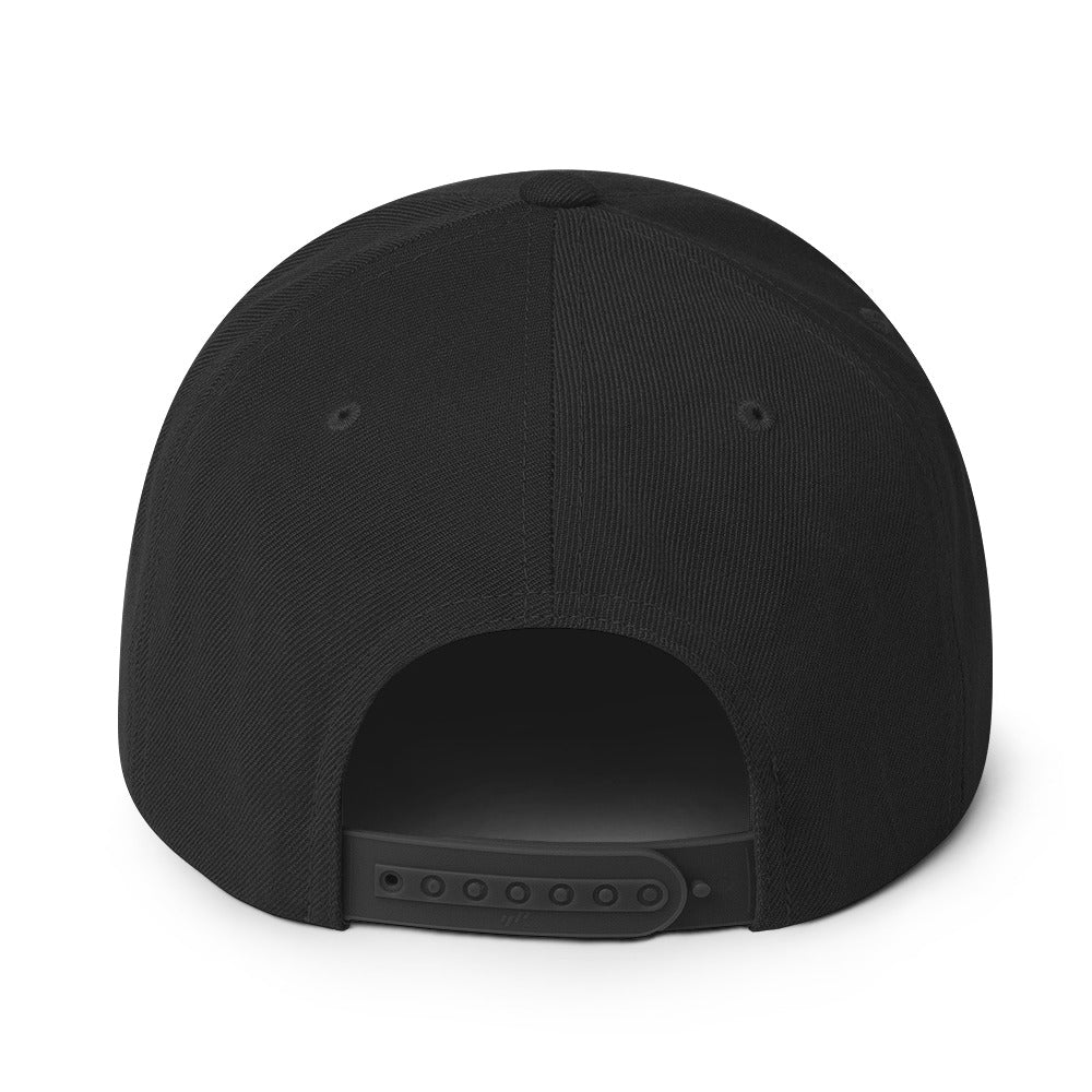 Snapback Hat (BC Logo)