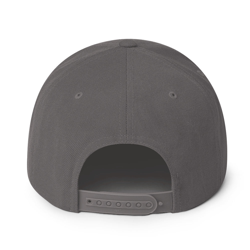 Snapback Hat (BC Logo)