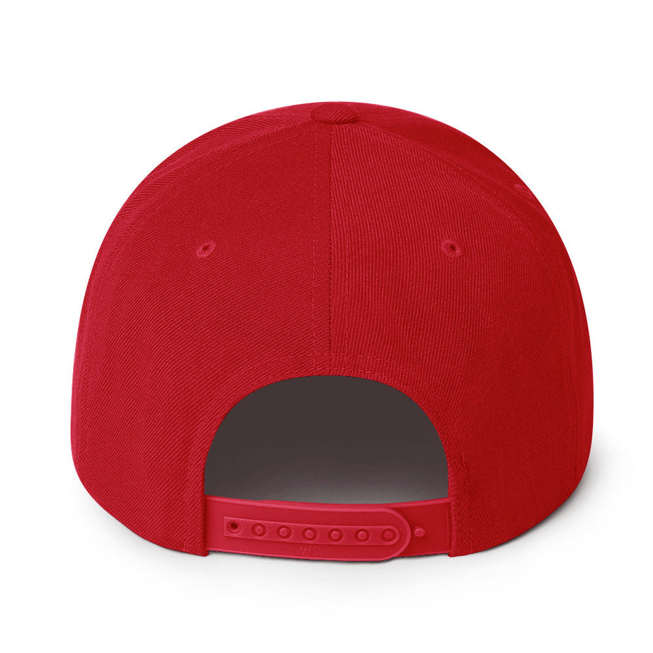 Snapback Hat (BC Logo)