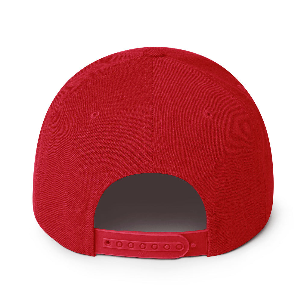 Snapback Hat (BC Logo)