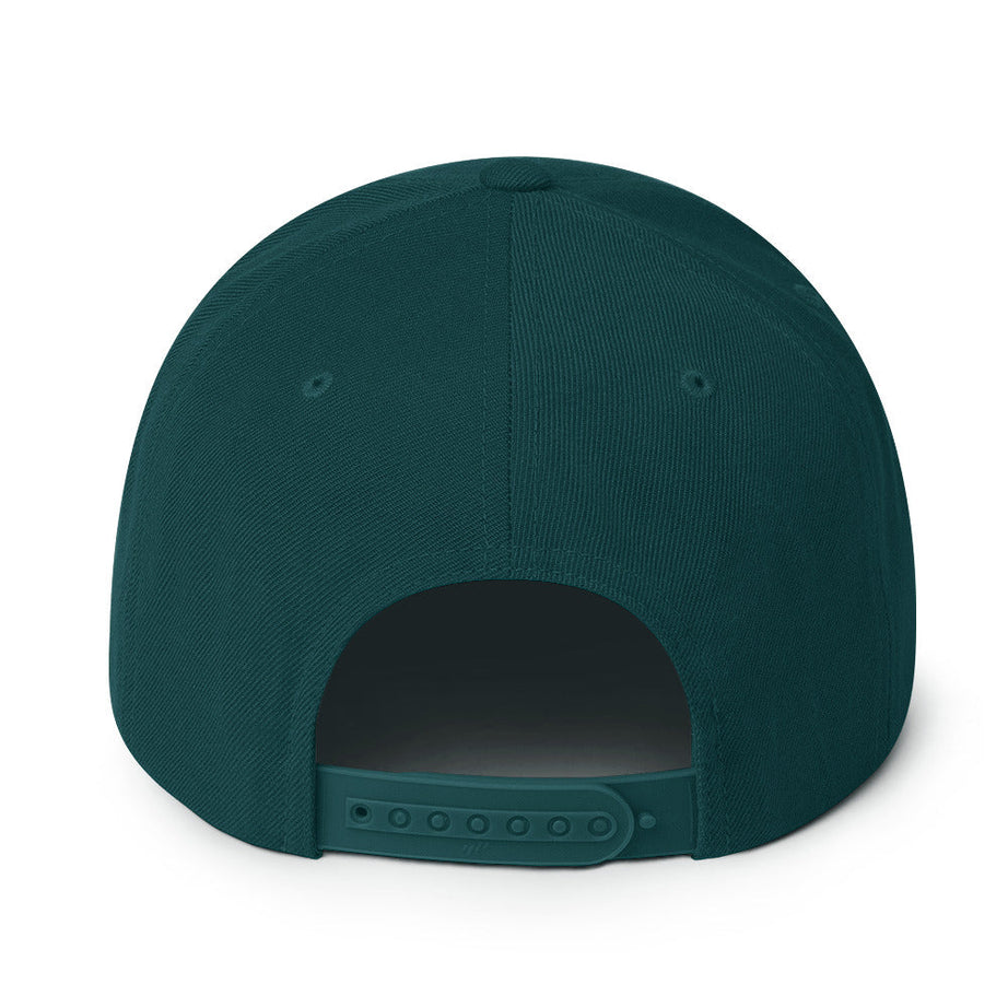 Snapback Hat (BC Logo)