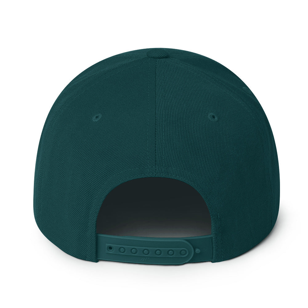Snapback Hat (BC Logo)